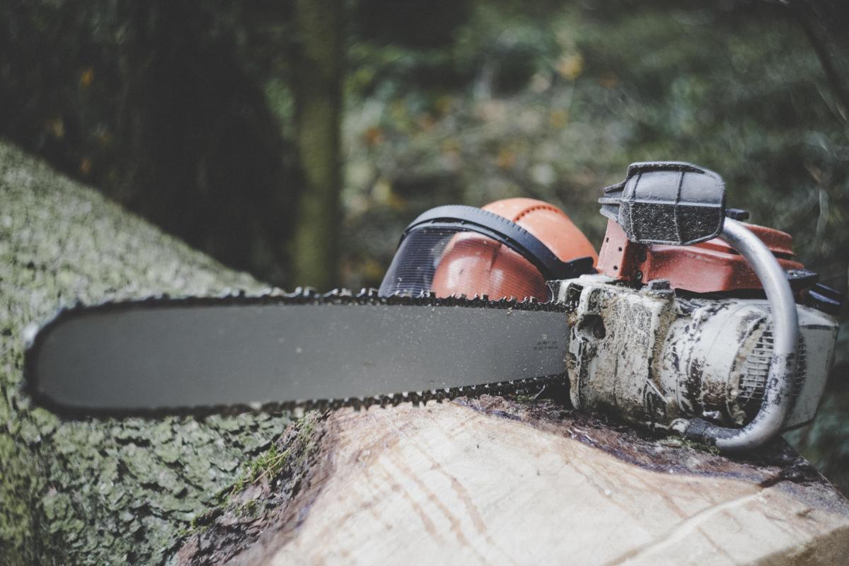 Chainsaw, an Iconic Tool Used Across Various Applications