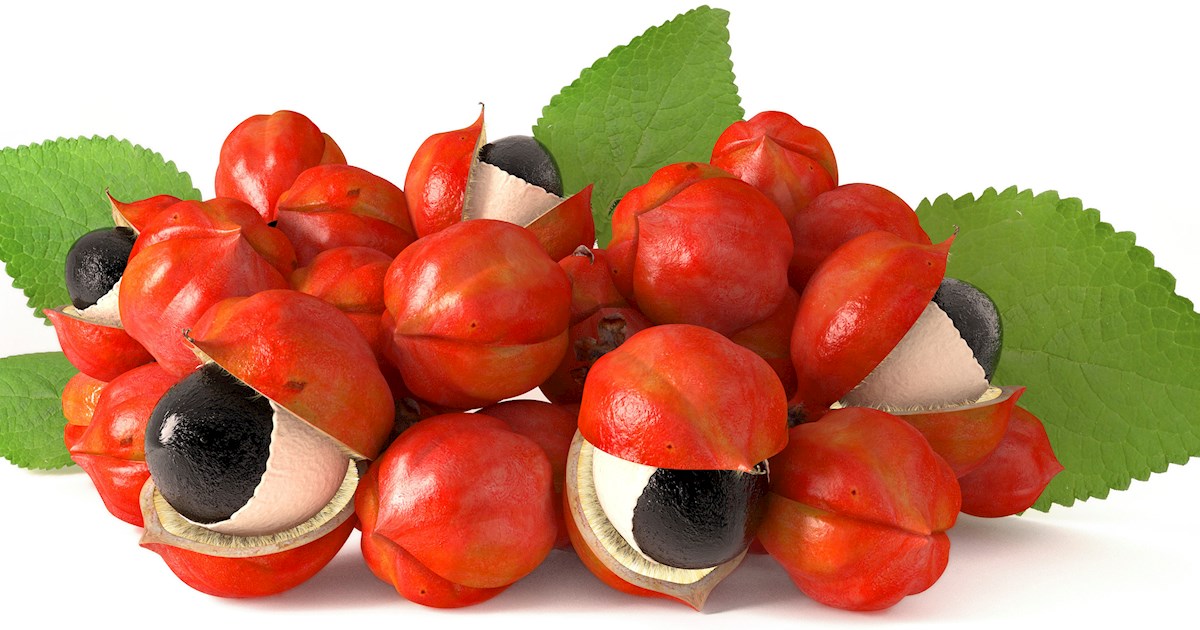 Guarana Market: Rising Demand for Natural Energy Boosters Drives Growth