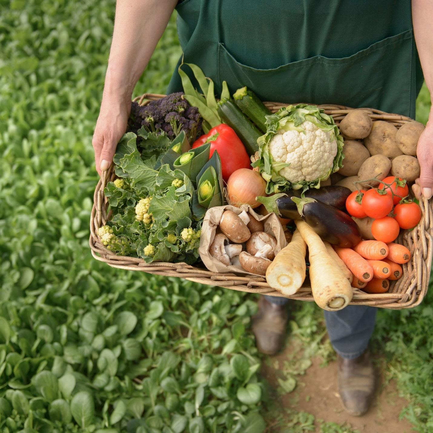 Flourishing Organic Farming Market Poised for Remarkable Growth