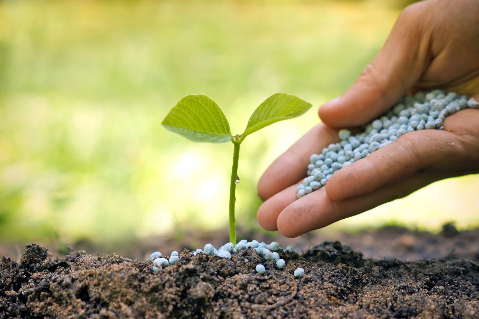 Global Organic Fertilizer Market Is Estimated To Witness High Growth Owing To Increasing Demand For Environment-friendly Farming Practices