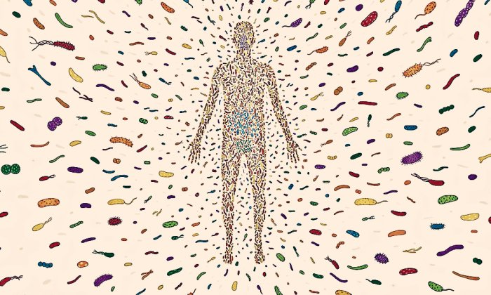 Human Microbiome Market Is Estimated To Witness High Growth Owing To Rising Prevalence of Chronic Diseases And Increasing Focus on Precision Medicine