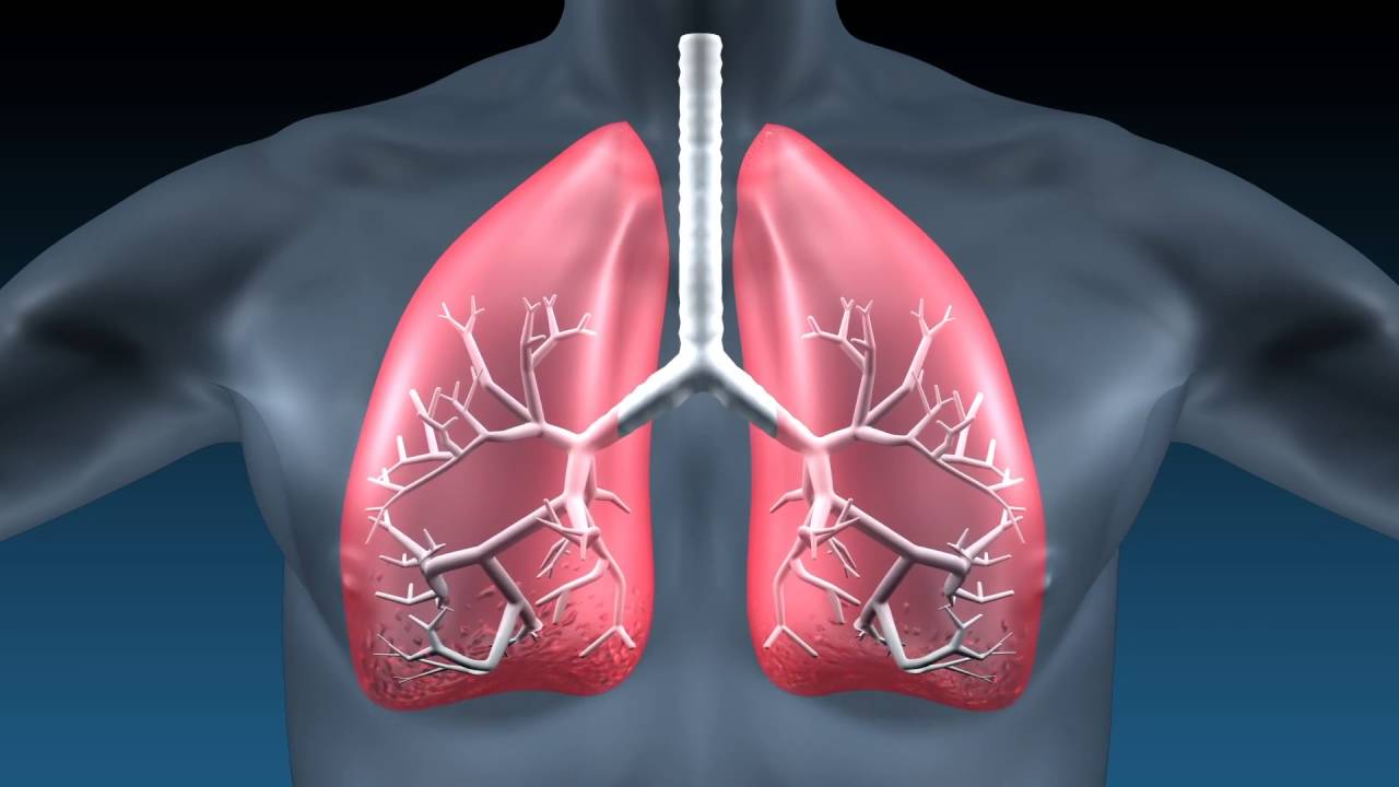 Idiopathic Pulmonary Fibrosis Treatment MArket