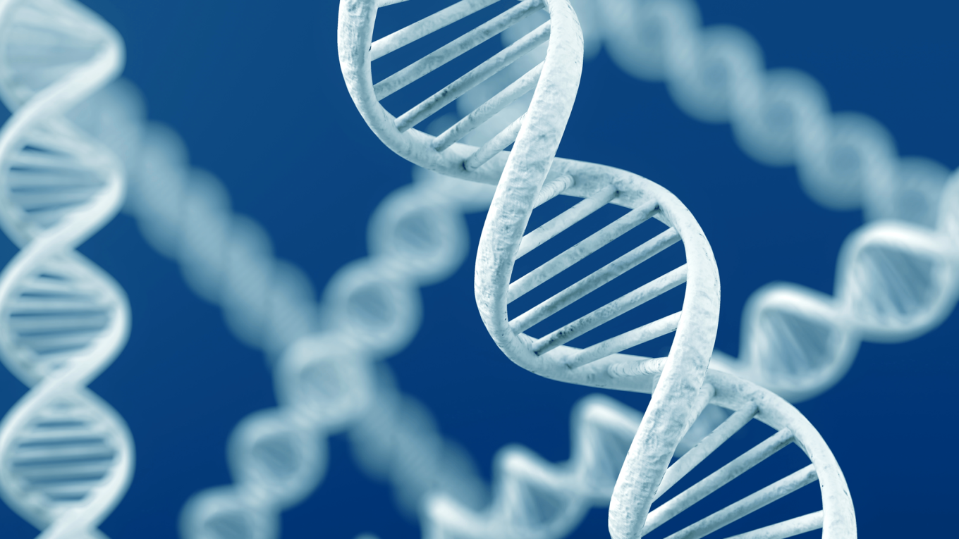 GenScript Biotech Corporation is the Largest Segment Driving the Growth of DNA Synthesizer Market