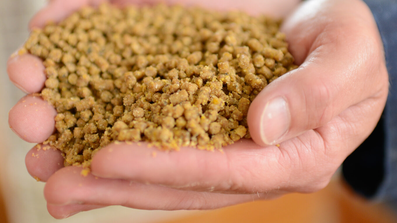 Corn Feed is the Largest segment driving the growth of Hominy Feed Market
