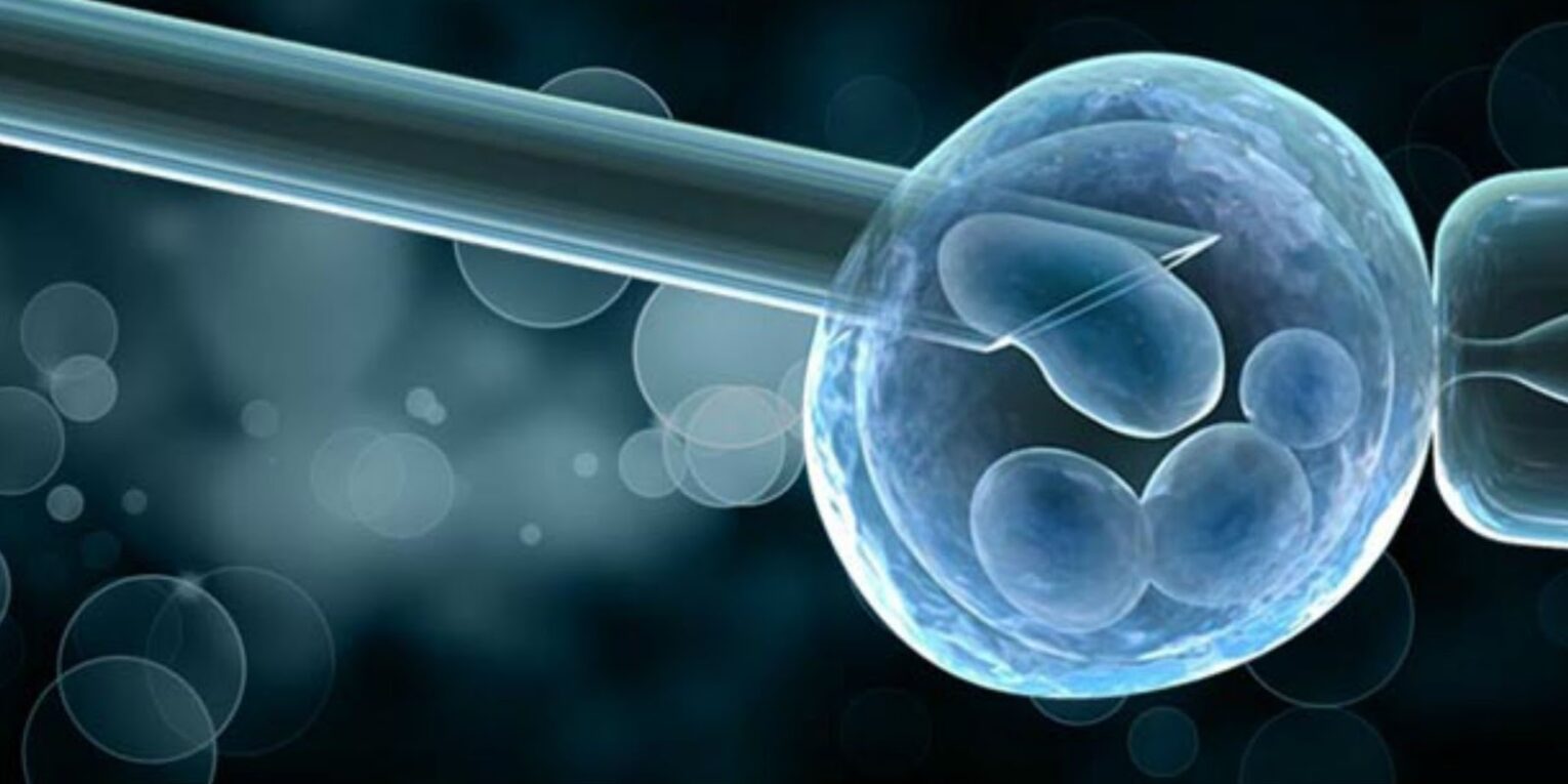 Diagnostic Centers are the Largest Segment Driving the Growth of Preimplantation Genetic Diagnosis Market