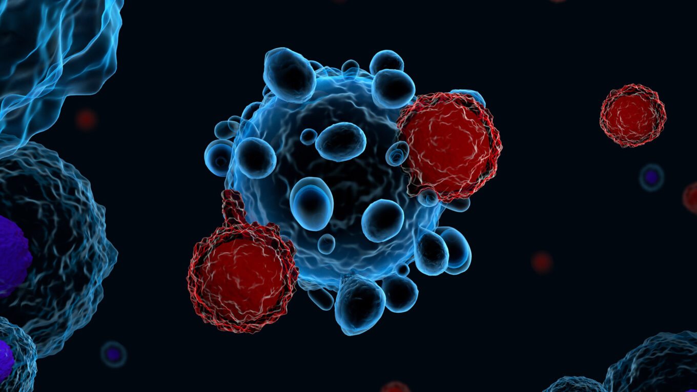 T-cell Lymphoma Therapy Segment is the largest segment driving the growth of T-cell Lymphoma Market