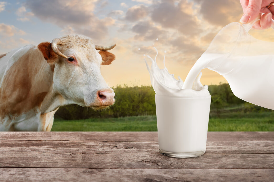 The Global A2 Milk Market Is Propelled By Rising Health Awareness Among Consumers