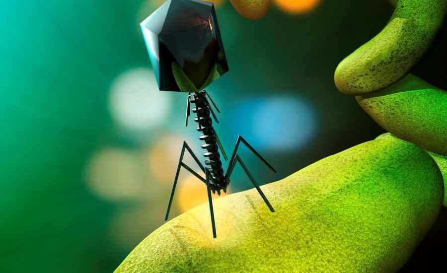 Bacteriophage Therapy Market