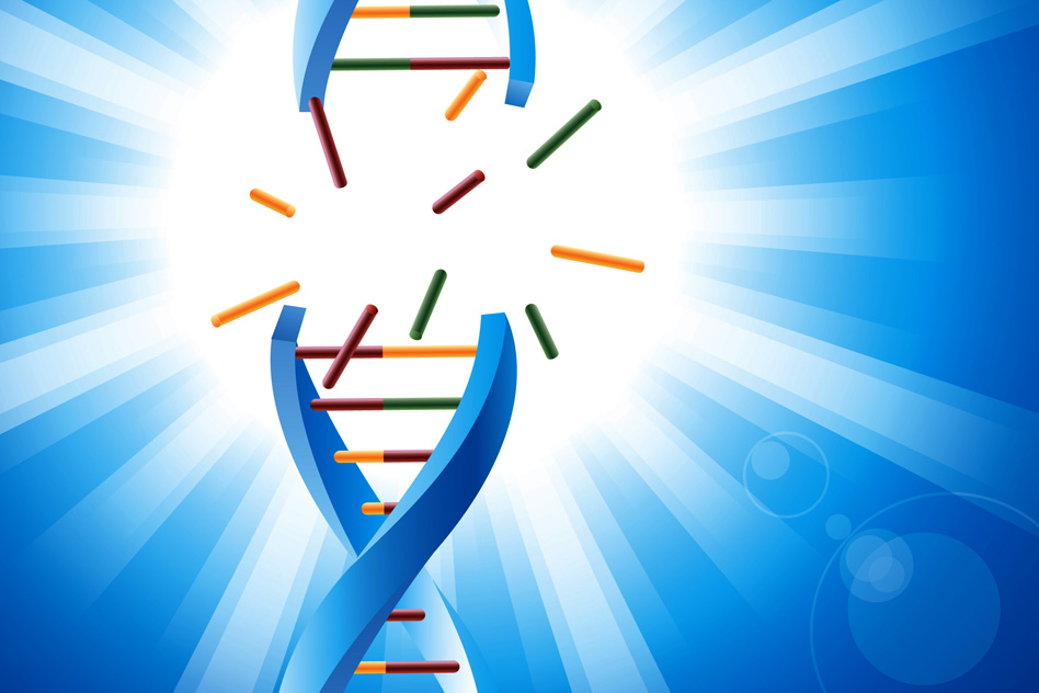 DNA Repair Drugs Market