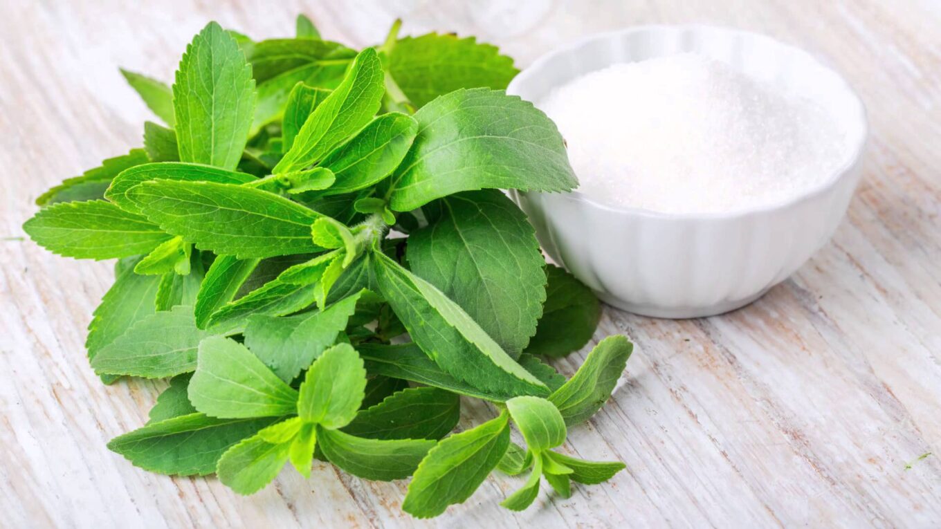 Consumer Segment is the largest segment driving the growth of Stevia Market