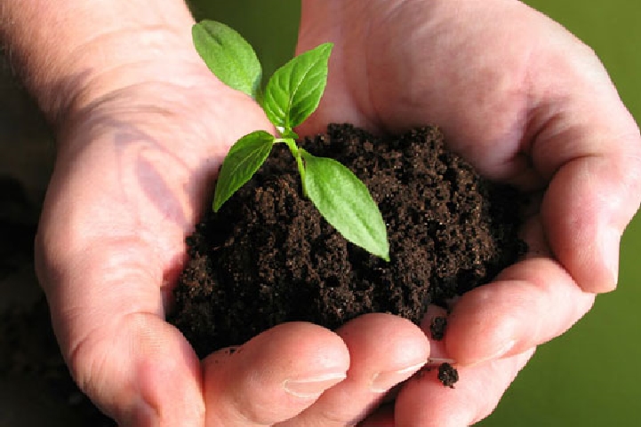 Biofertilizers are Expected to be Flourished by Growing Demand for Organic Farming Practices