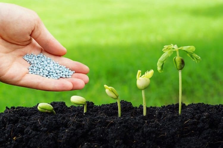 Biopesticides Market is Expected to Gain Momentum with Rising Organic Farming Practices