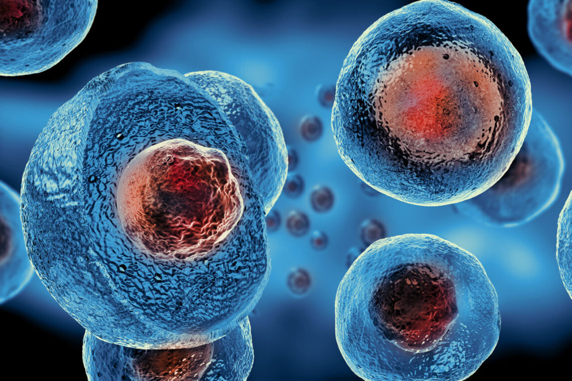 Human Embryonic Stem Cells Market Propelled By Growing Medical Applications