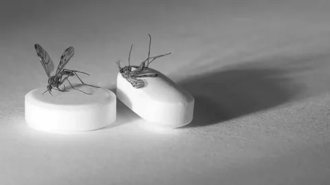 New Study Shows Tafenoquine is a Cost-Effective Treatment for Malaria