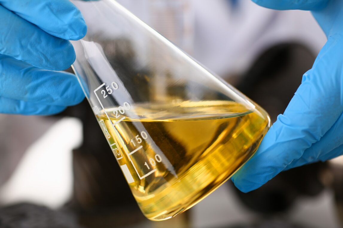 The Rapidly Growing Biodiesel Catalyst Market Is In Trends By Increasing Adoption Of Biofuels