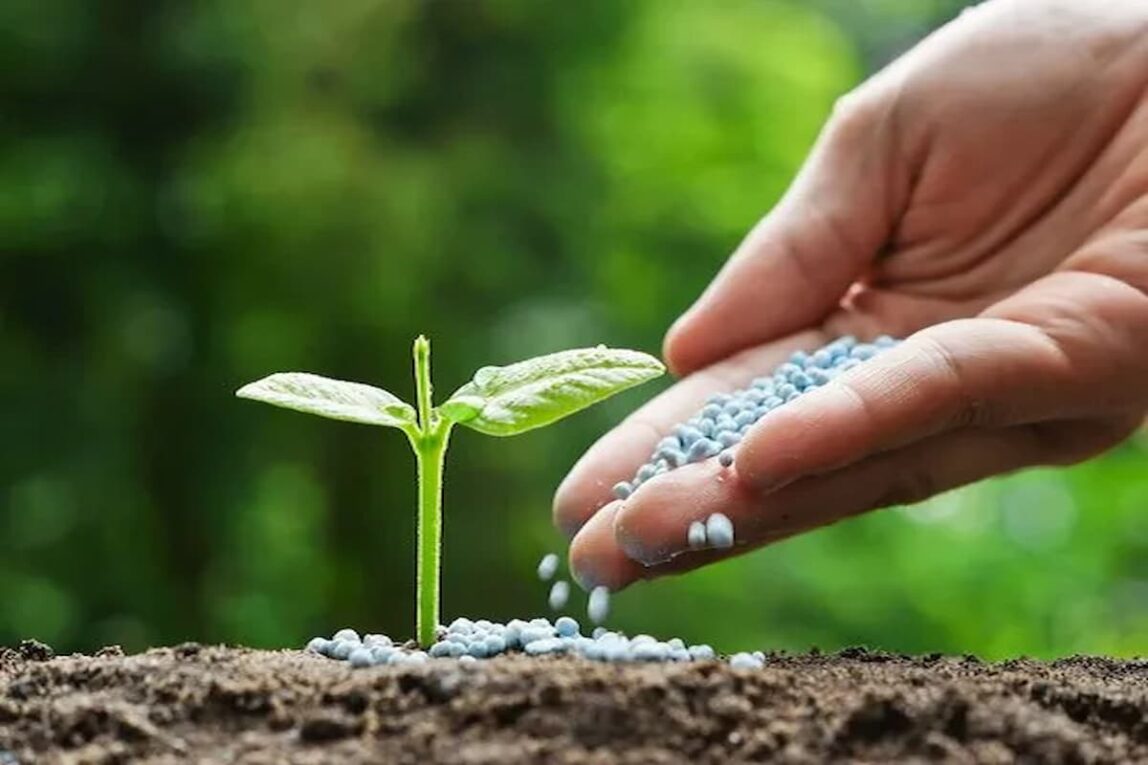 Biofertilizers Market is Anticipated to Witness High Growth Owing to Rising Organic Farming Practices