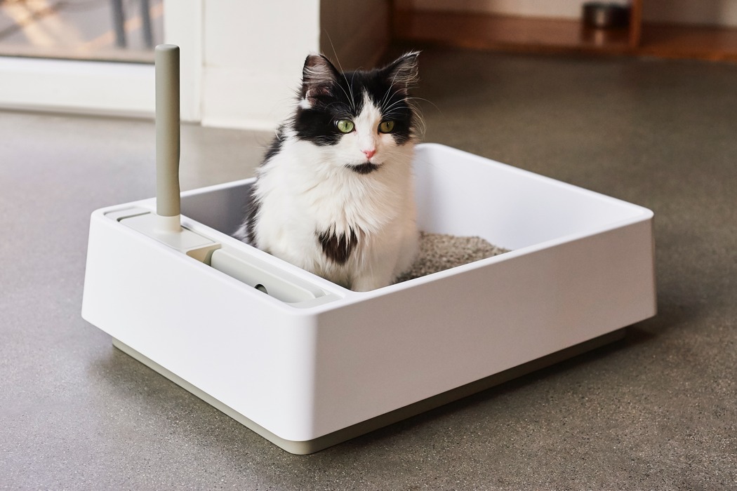 Cat Litter Chronicles: Choosing the Perfect Litter for Your Feline Friend
