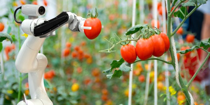 Fruit Picking Robots: Revolutionizing Agriculture Industry