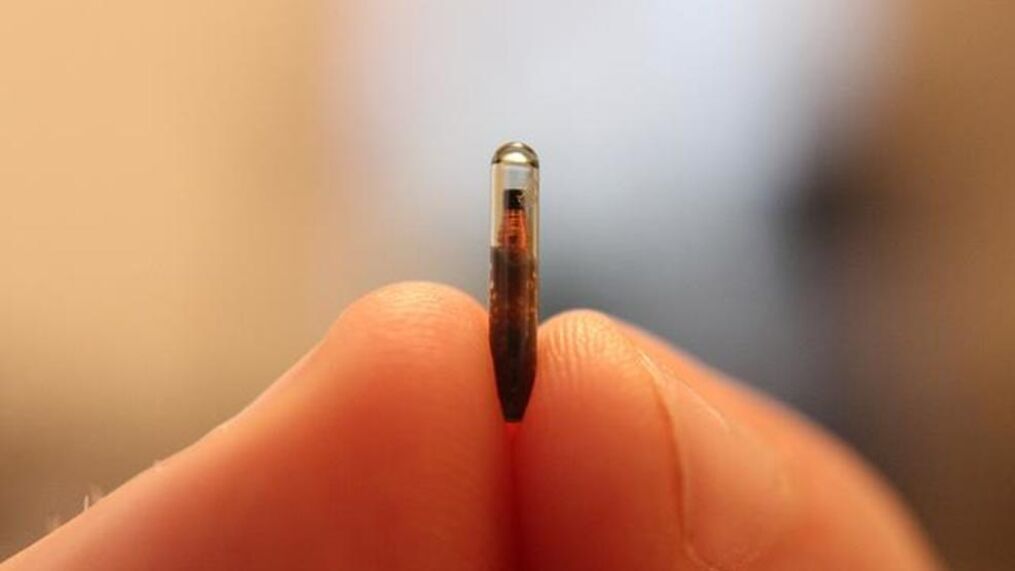 Human Microchipping Market is Estimated to Witness High Growth Owing to Increased Adoption for Pet Identification and Medical Purposes