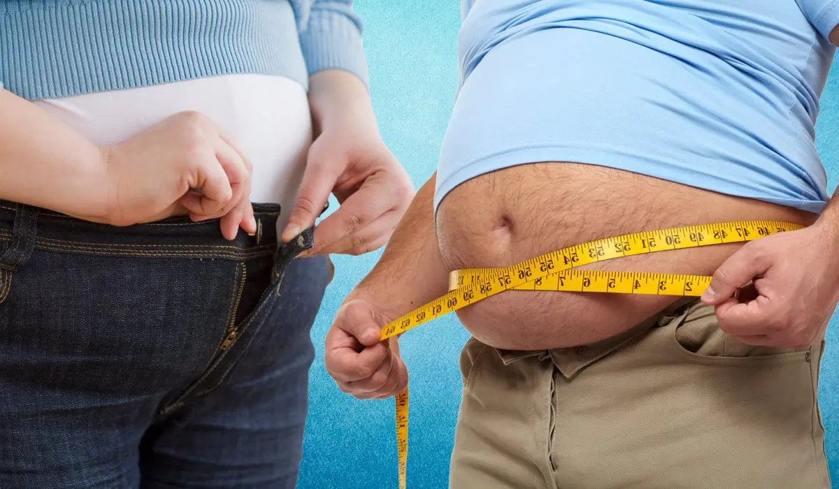 New Study Reveals Mechanism Behind Obesity-Related Metabolic Dysfunction