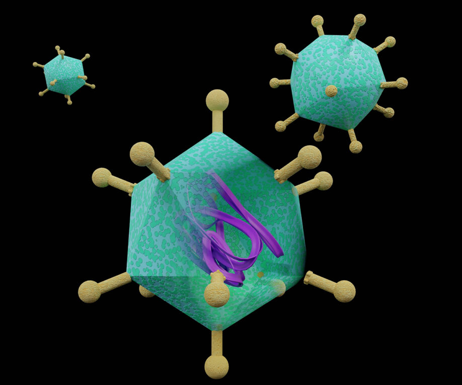 Oncolytic Virus Therapy