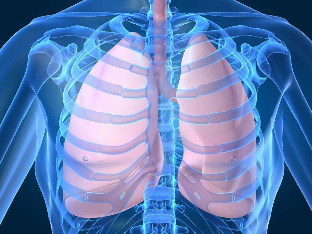 Pulmonary Drugs: An Overview of Medications for Lung Diseases