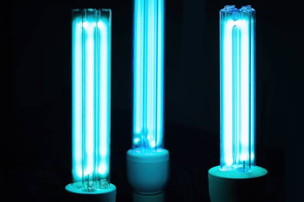 UV Lamps: An Essential Component in Modern Life