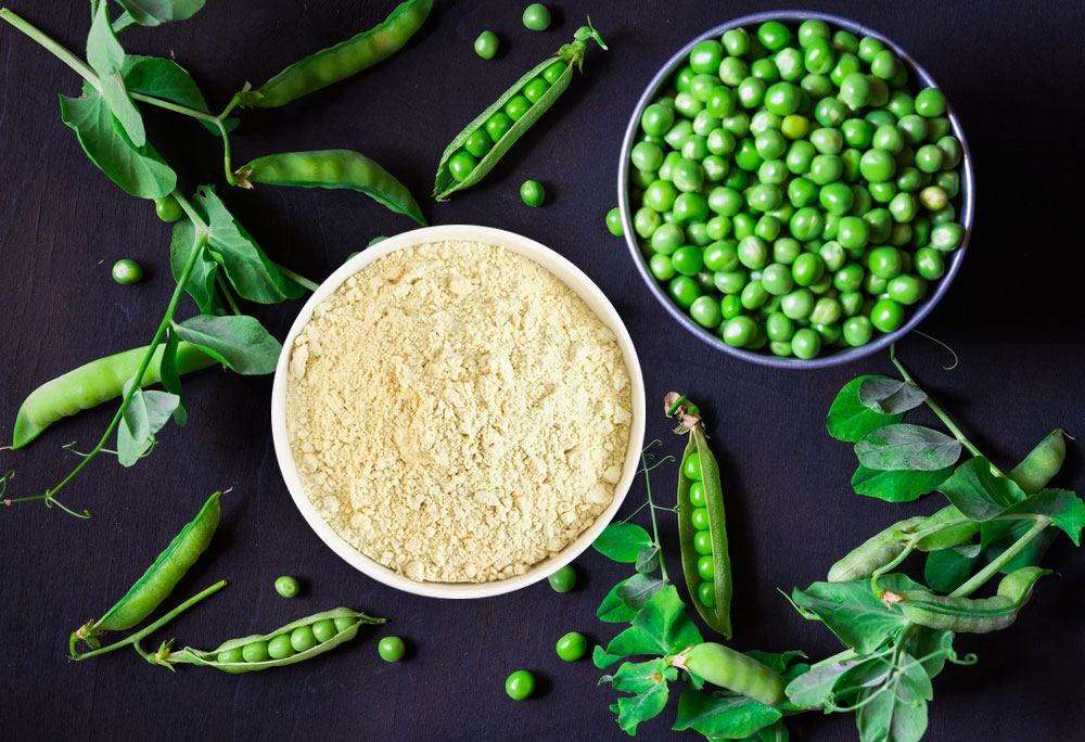 Pea Protein: The Complete Plant-Based Protein