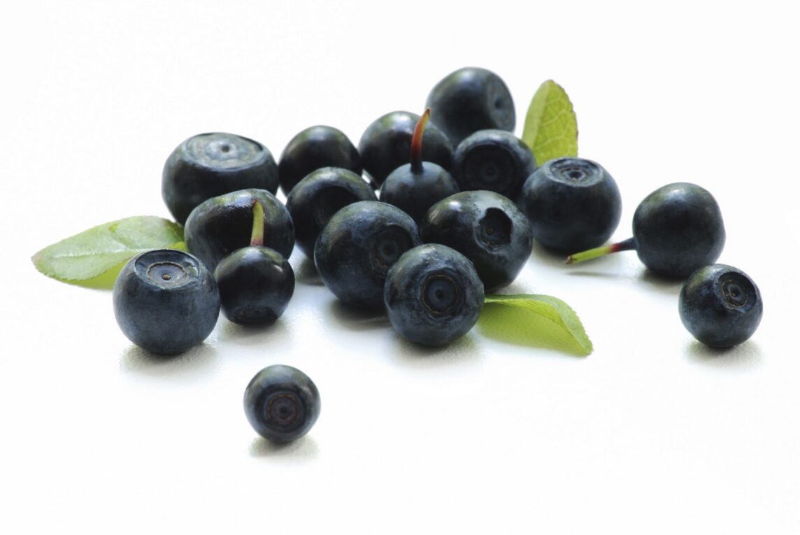 The Growing Acai Berry Market Propelled by Rising Health consciousness