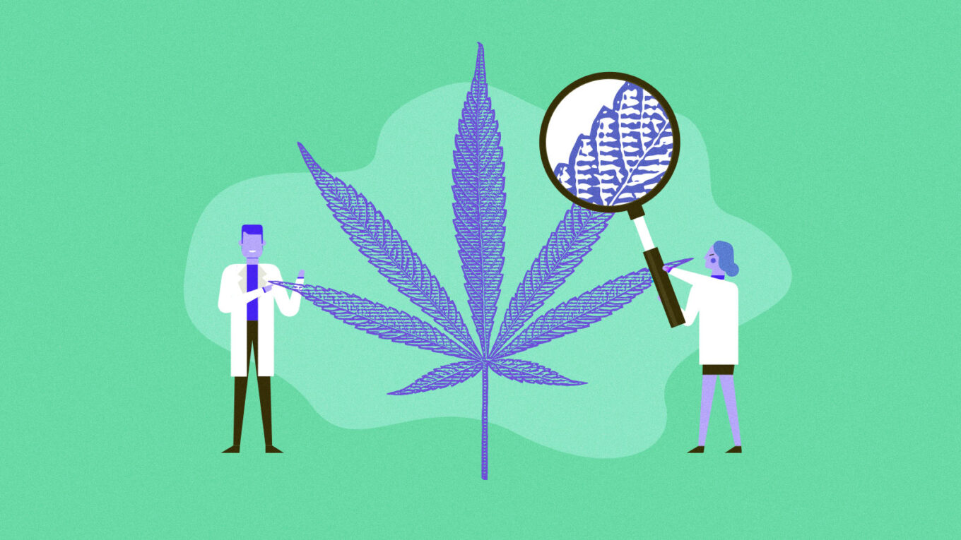 Cannabis Testing Market