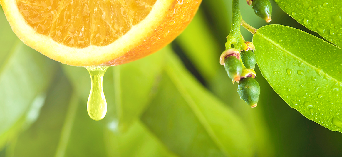 Citrus Flavors: A Vibrant Addition to Food and Drinks