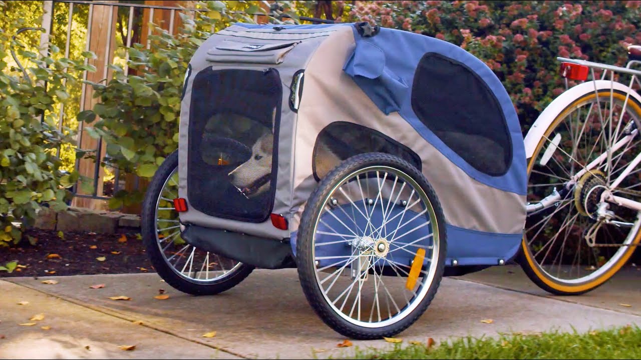 Dog Bicycle Trailer Market set to Boom Supported by Growing Pet Humanization Trends