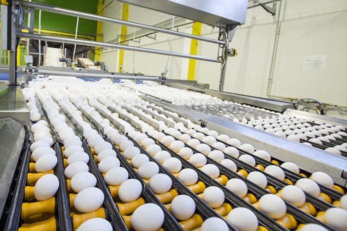 Egg Processing Market is Estimated to Witness High Growth Owing to Automation