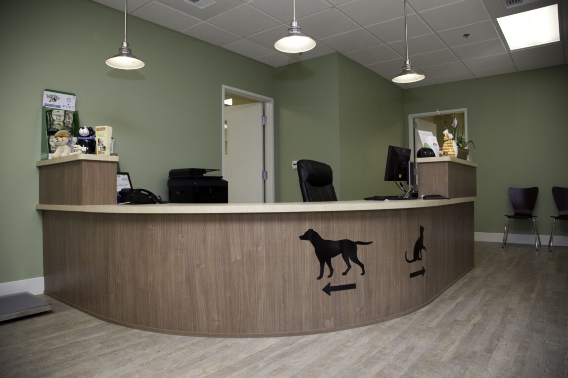 Global Veterinary Furniture Industry: How it has evolved over the years