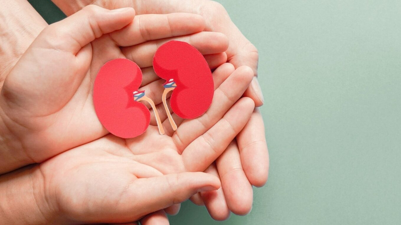 Kidney Transplant: A Hope for those Suffering from Kidney Failure