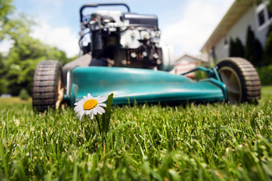 Lawn & Garden Equipment: Essential Tools to Maintain Your Outdoor Spaces