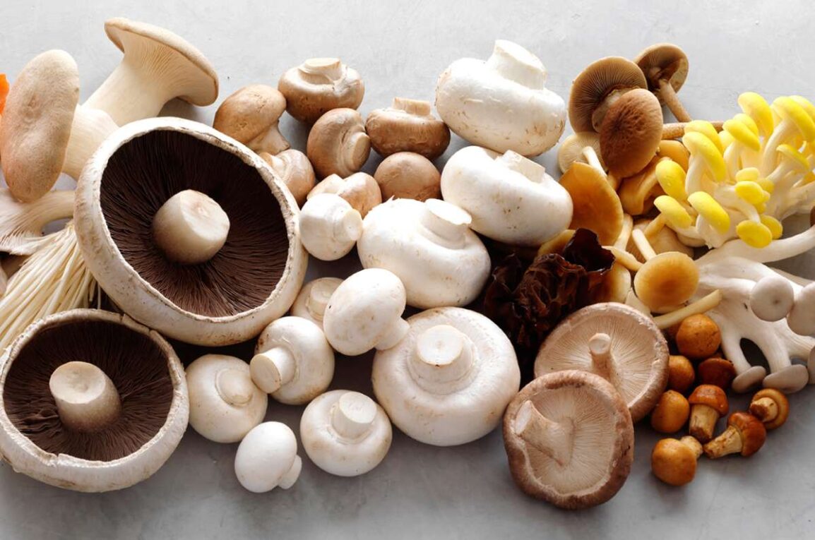 Global Medicinal Mushroom Market is in trends by increasing immunity boosting properties