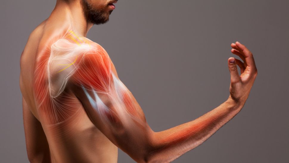 Muscle Spasticity Market