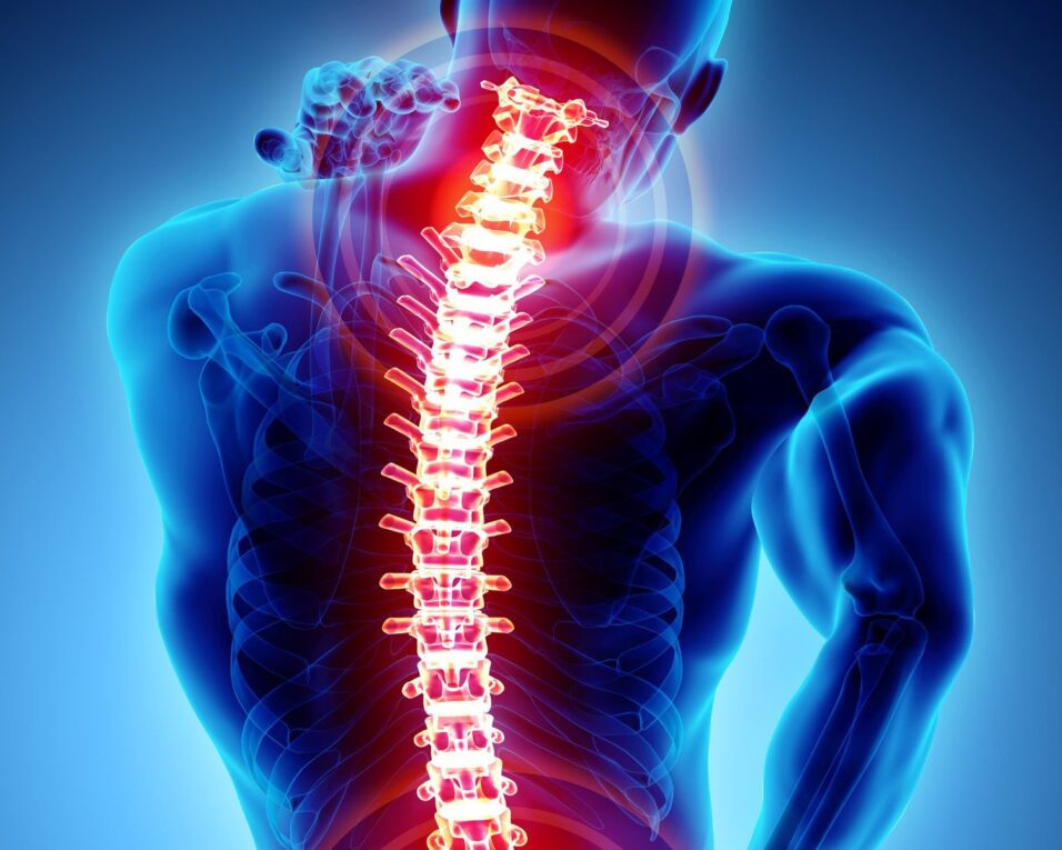 Global Spinal Imaging Market is Estimated to Witness High Growth Owing to Rising Prevalence of Spinal Disorders