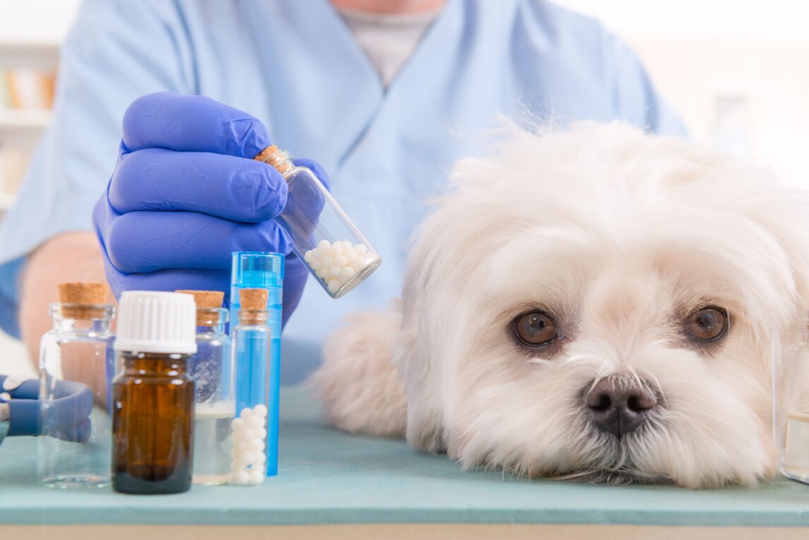 Veterinary Drugs Compounding