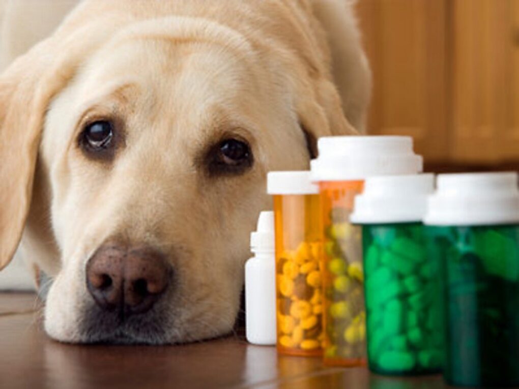 Veterinary Drugs Compounding Market