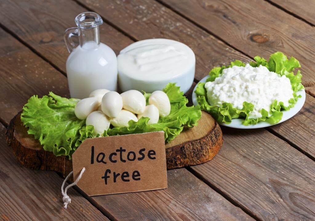 The Global Lactose Free Food Market is Estimated to Witness High Growth Owing to Increasing Prevalence of Lactose Intolerance
