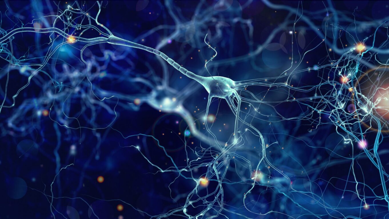 Swedish Researchers Develop New Microfluidic Device to Enhance Generation of Neural Stem Cells for Personalized Alzheimer’s and Parkinson’s Therapies