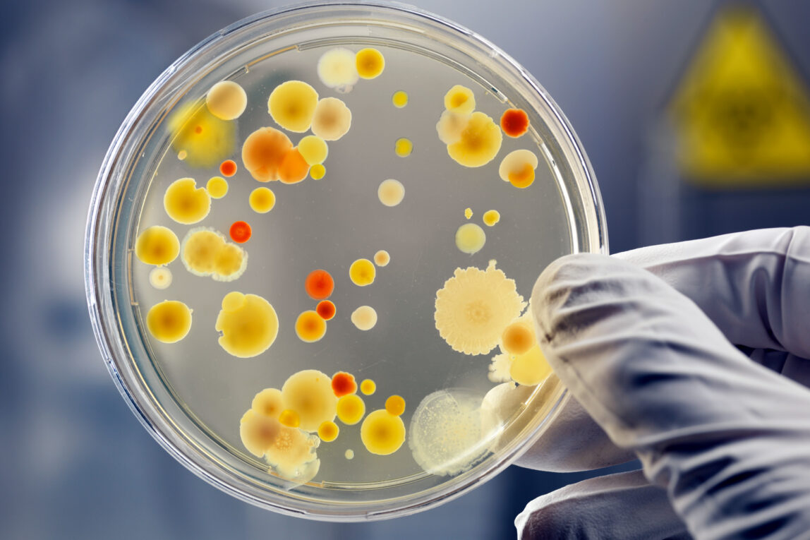 Global Microbial API Market is Estimated to Witness High Growth Owing to Advancements in Biotechnology