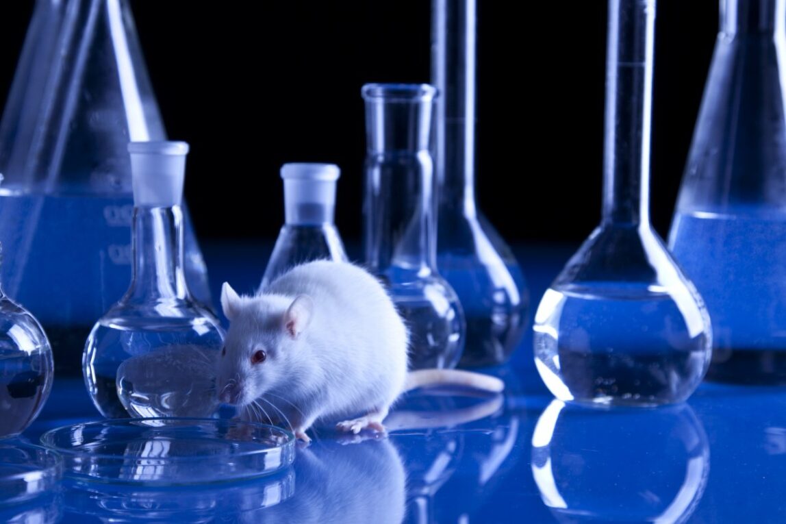 Global Animal Biotechnology Market is Estimated to Witness High Growth Owing to Increasing Demand for Disease Resistant and Nutritionally Enhanced Animals